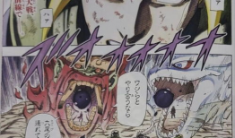 火影忍者漫画黄,火影忍者中的神秘忍者传奇